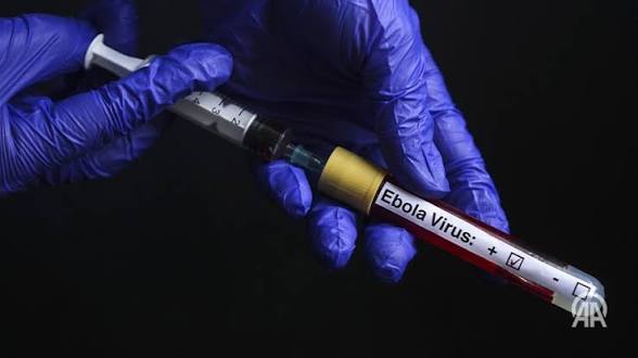 France Confirms First Ebola Case Returns From Congo